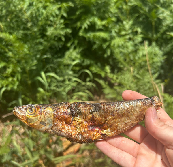 Sardines image 0