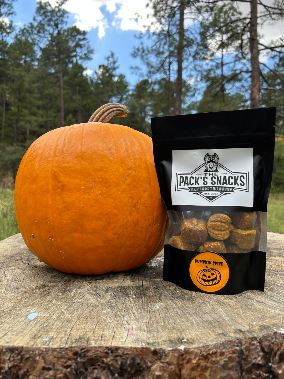 Pumpkin Spice Treat image 0